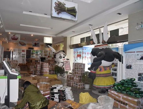 整合規范物流快遞，打造電商生態體系下的普通貨物倉儲服務新格局